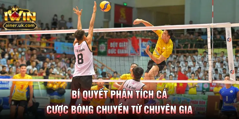 Bí quyết phân tích cá cược bóng chuyền từ chuyên gia