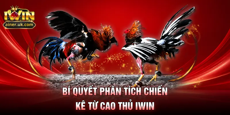 Bí quyết phân tích chiến kê từ cao thủ IWIN