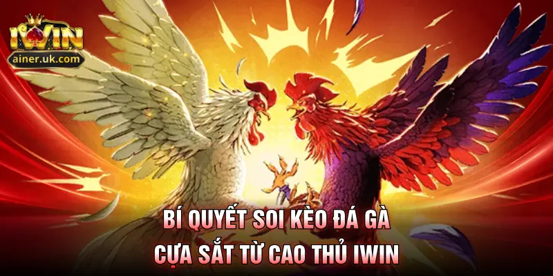 Bí quyết soi kèo đá gà cựa sắt từ cao thủ IWIN