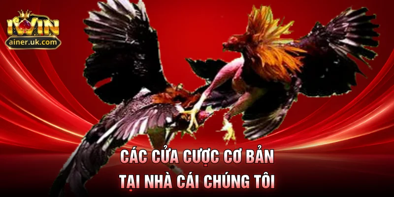 Các cửa cược cơ bản tại nhà cái chúng tôi