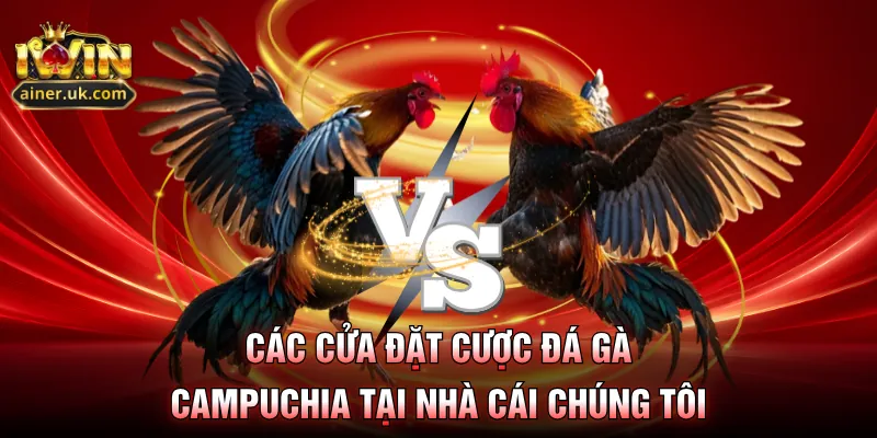 Các cửa đặt cược đá gà Campuchia tại nhà cái chúng tôi