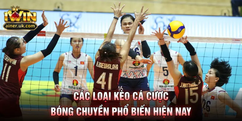 Các loại kèo cá cược bóng chuyền phổ biến hiện nay