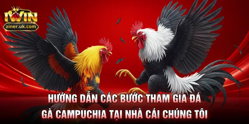 Hướng dẫn các bước tham gia đá gà Campuchia tại nhà cái chúng tôi