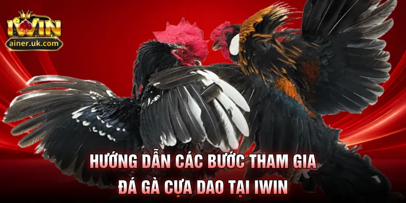 Hướng dẫn các bước tham gia đá gà cựa dao tại IWIN