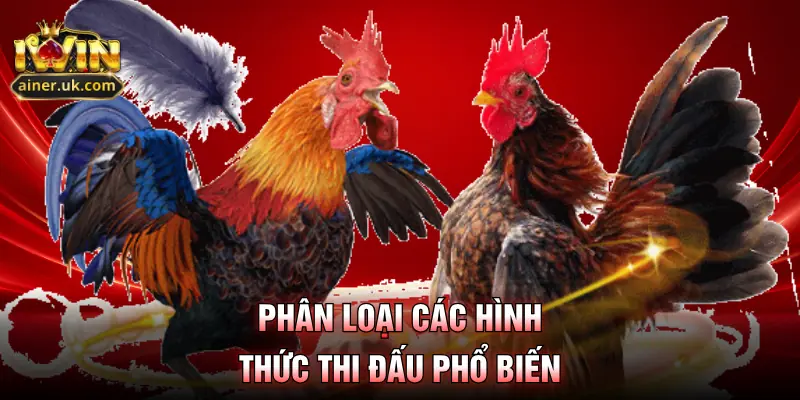 Phân loại các hình thức thi đấu phổ biến