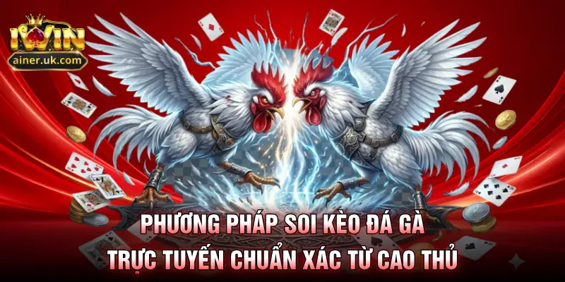 Phương pháp soi kèo đá gà trực tuyến chuẩn xác từ cao thủ